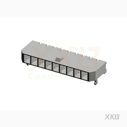 X3025WRS-09D-LPSW XKB Connectivity