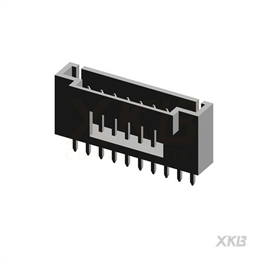 X9556WV-10-N0V01 XKB Connectivity