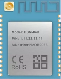 DSM-04B-1 Dusun