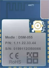 DSM-055 Dusun