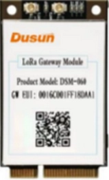 DSM-060 Dusun