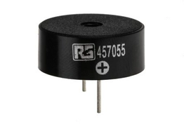 457055 RS