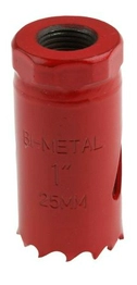 216325 RS