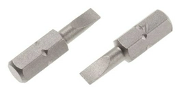 252955 RS