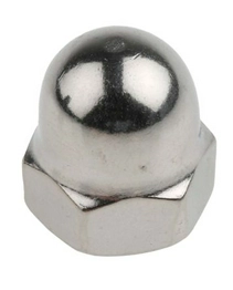 2484501 RS