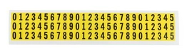 4453880 RS