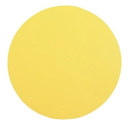 8735915 RS
