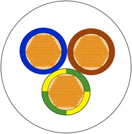 491780 RS
