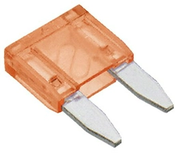 563536 RS