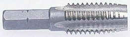 828151 RS