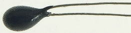 1691868 RS