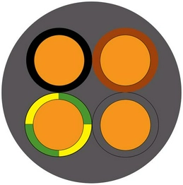 9028331 RS