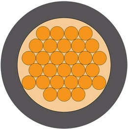 9028423 RS