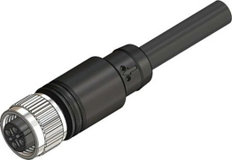 2080540 RS