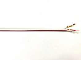 2097982 RS