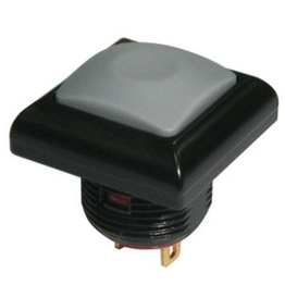 2099091 RS
