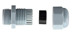 RS 2101343 image