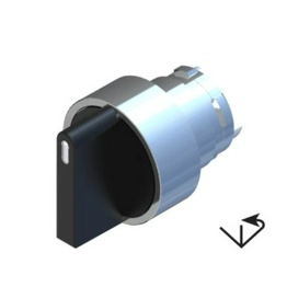 2383924 RS