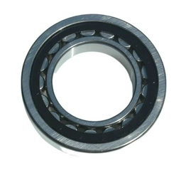 2483004 RS