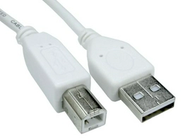 2513242 RS
