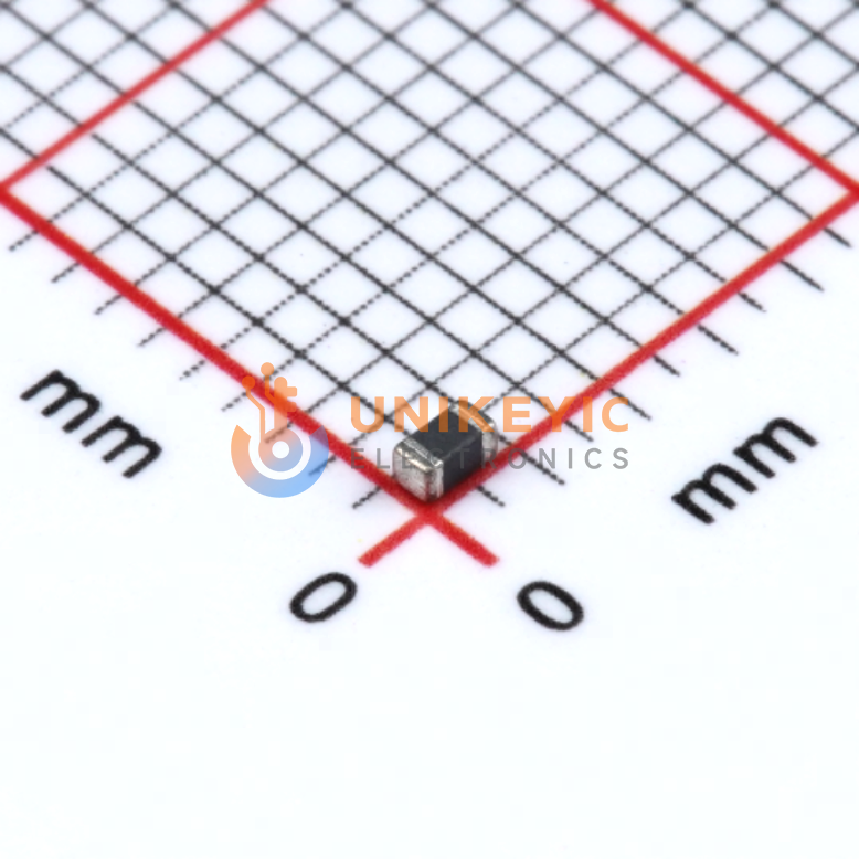 CHILISIN SBK160808T-300Y-N image