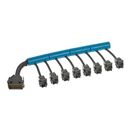 2033879008 molex
