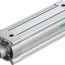 FESTO DSBC-100-250-PPVA-N3 image