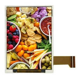 AFK240320A1-2.4INTM Orient Display