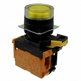 A22NL-BGM-TYA-G002-YD OMRON