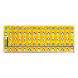 EPC2101 Efficient Power Conversion