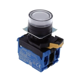 A22NL-BGM-TWA-G101-WC OMRON