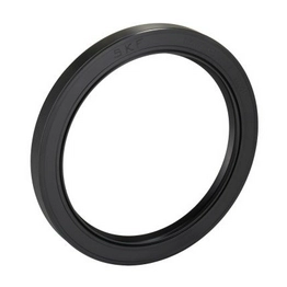 SKF 100X125X12 HMSA10 RG image
