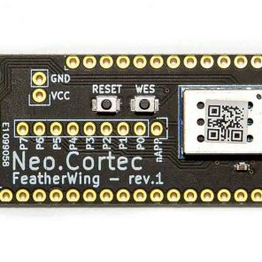 FWNC1000C-8 NeoCortec