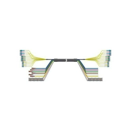 553826 International Lighting