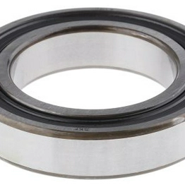 6010-2RS1 SKF