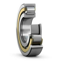 IR 17X20X16.5 SKF