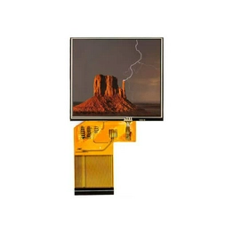 E35RG63224LW2M320-R FOCUS LCDs