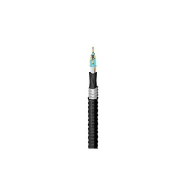 FD3D048FK BELDEN