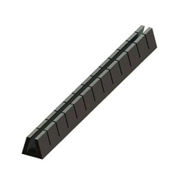 SNGSG-3B ESSENTRA
