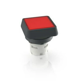 RAFI 1.30.070.001/1306 image