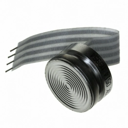19C100PV2K Honeywell