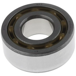 4204 ATN9 SKF