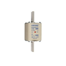 MERSEN NH2GG40V315 image