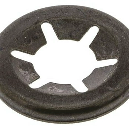 RS 172341 image