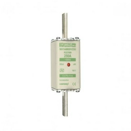 NH1AM69V250 MERSEN