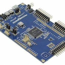 Microchip Technology ATSAMC21N-XPRO image