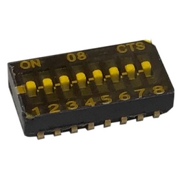 218-8LPSTJR cts