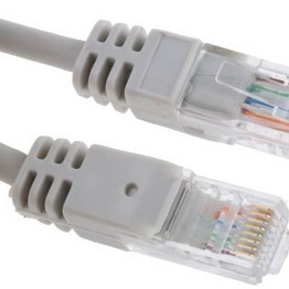 RS 7917015 image