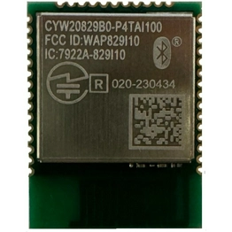 CYW20829B0-P4TAI100 Infineon Technologies