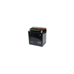 FL (TOURING) 1340CC MOTORCYCLE   BATTERY International Lighting
